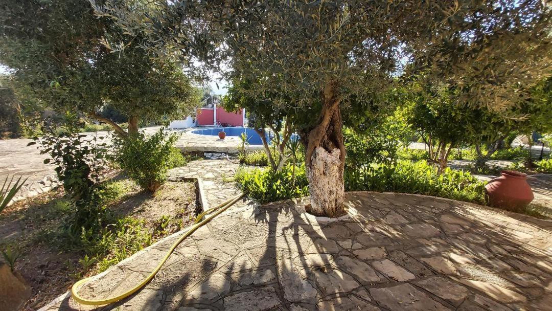 Anastasia Apartments Kampos Marathokampou Exteriér fotografie