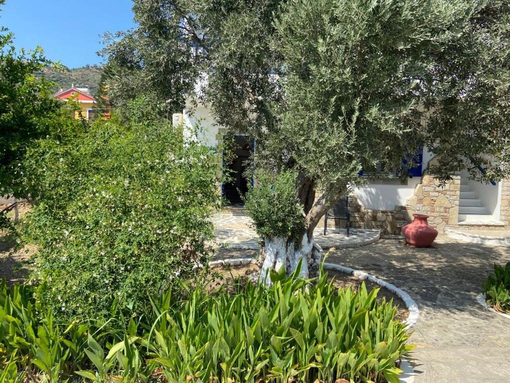 Anastasia Apartments Kampos Marathokampou Exteriér fotografie